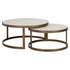 Veronia Coffee Table Set